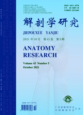 解剖学研究杂志