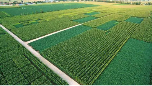 环境保护型农业土肥管理技术的论文发表应用